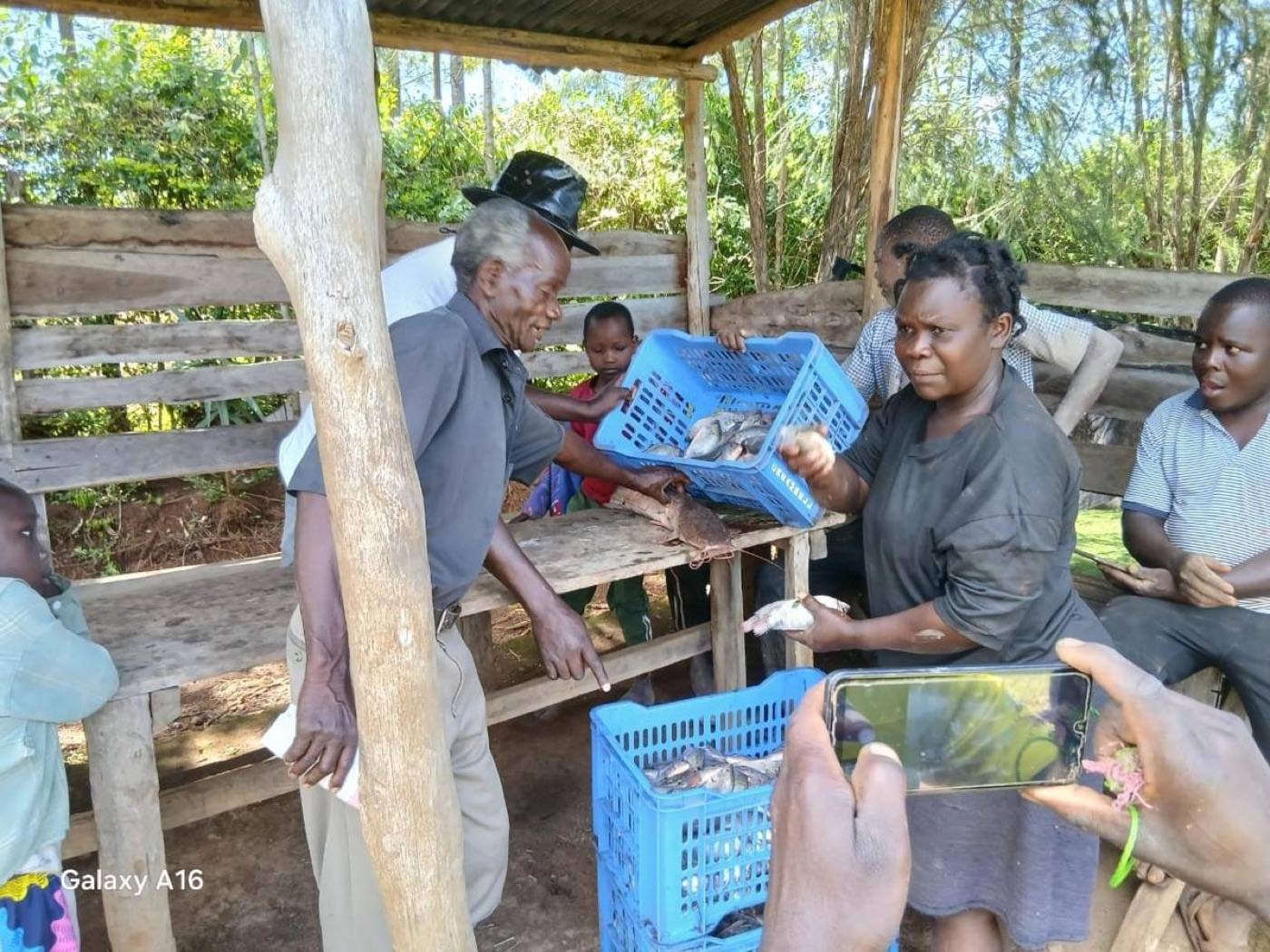 Community Impact
